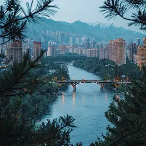 来自古诗中的含义